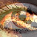 I see the fire in your eyes the dragon fire