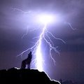Wolf and lightning by charu chaoswolf